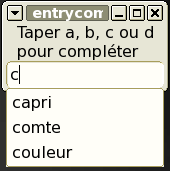 Exemple de zone de saisie avec complètement.